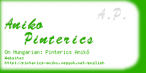 aniko pinterics business card
